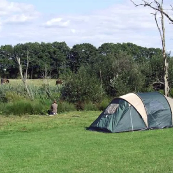 blacklands-farm-caravan-camping-henfield-m5s48