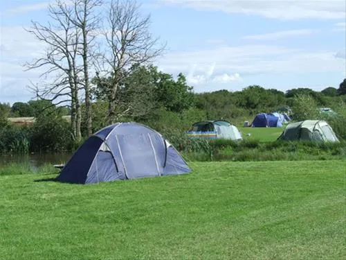 blacklands-farm-caravan-camping-henfield-qvqxt
