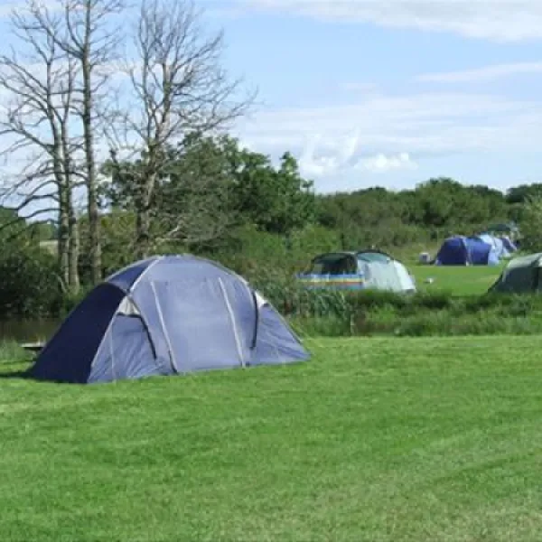 blacklands-farm-caravan-camping-henfield-qvqxt