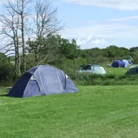 blacklands-farm-caravan-camping-henfield-qvqxt