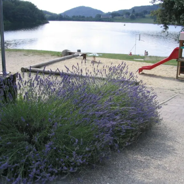 camping-la-romiguiere-laguiole-z0ehb