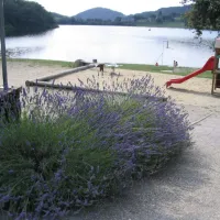 camping-la-romiguiere-laguiole-z0ehb
