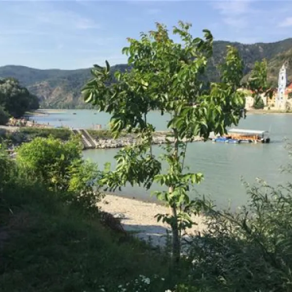 campingplatz-rossatz-rossatz-hazxk