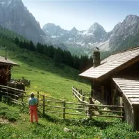 aic-camping-seewiese-lienz-tristach-8tgmm