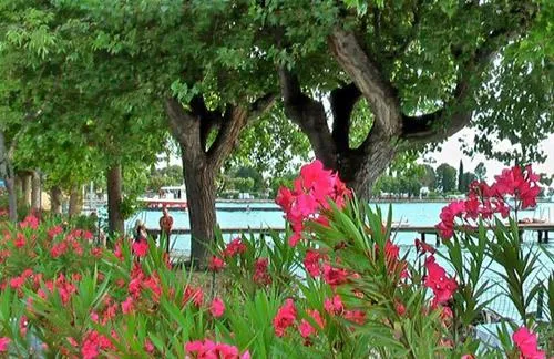 camping-san-nicolo-bardolino-hhaxm