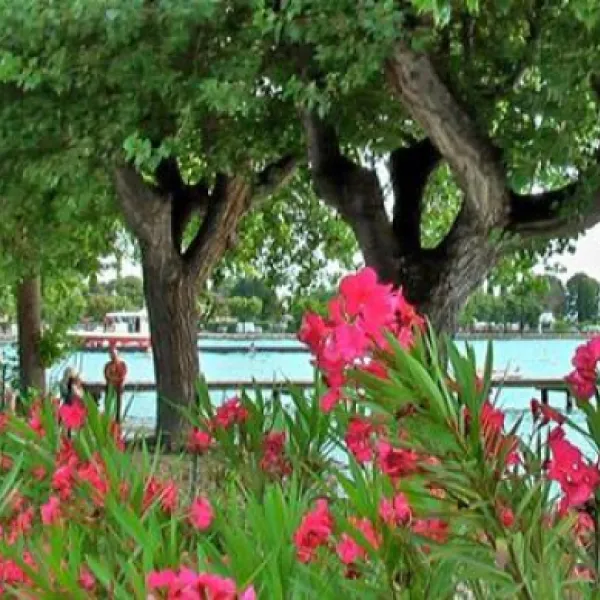 camping-san-nicolo-bardolino-hhaxm