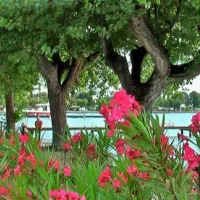 camping-san-nicolo-bardolino-hhaxm