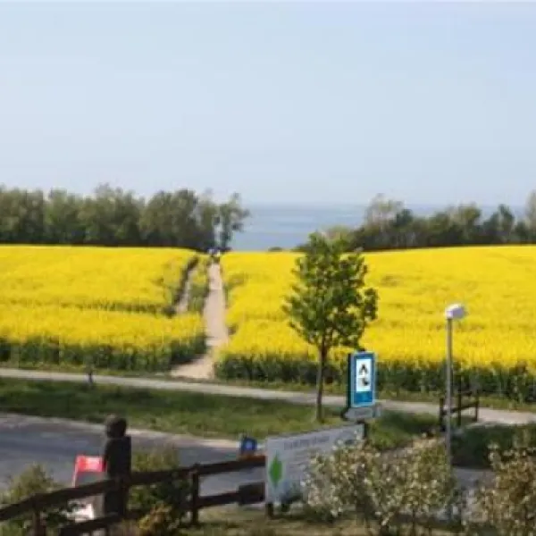 campingpark-ostseebad-rerik-ostseebad-rerik-t1cya