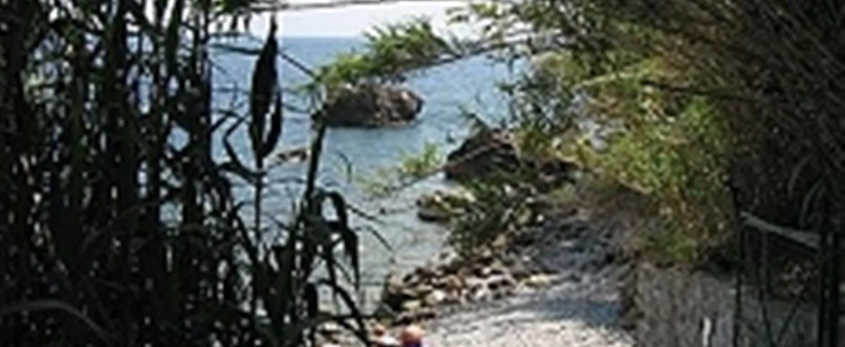 Camping Residence Nettuno