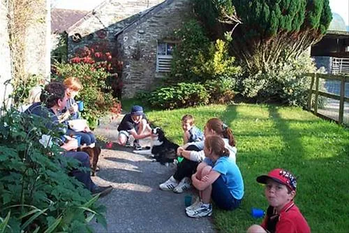 rhydhowell-farm-campsite-pembrokeshire-fq603