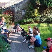 rhydhowell-farm-campsite-pembrokeshire-fq603