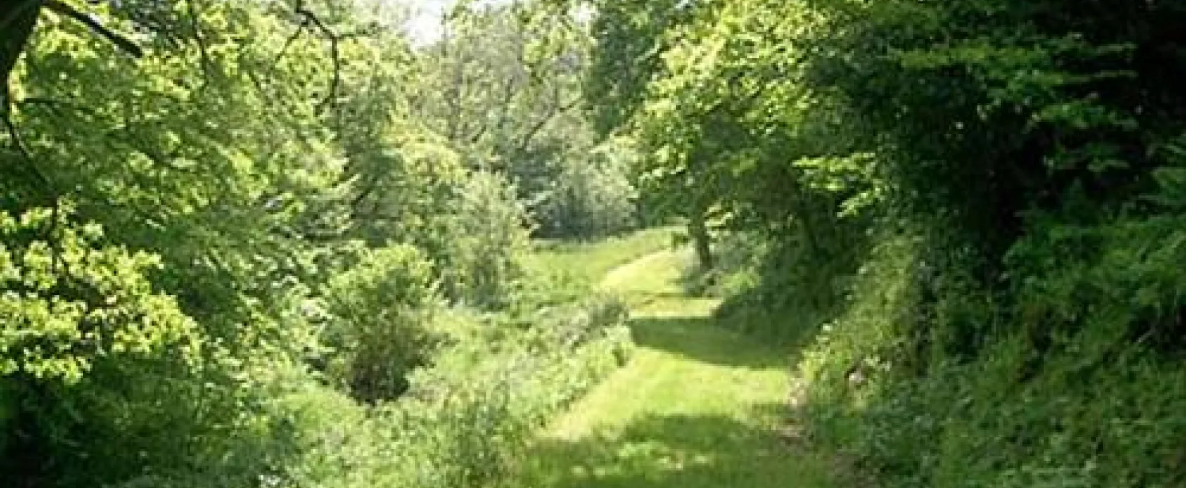 Rhydhowell Farm Campsite