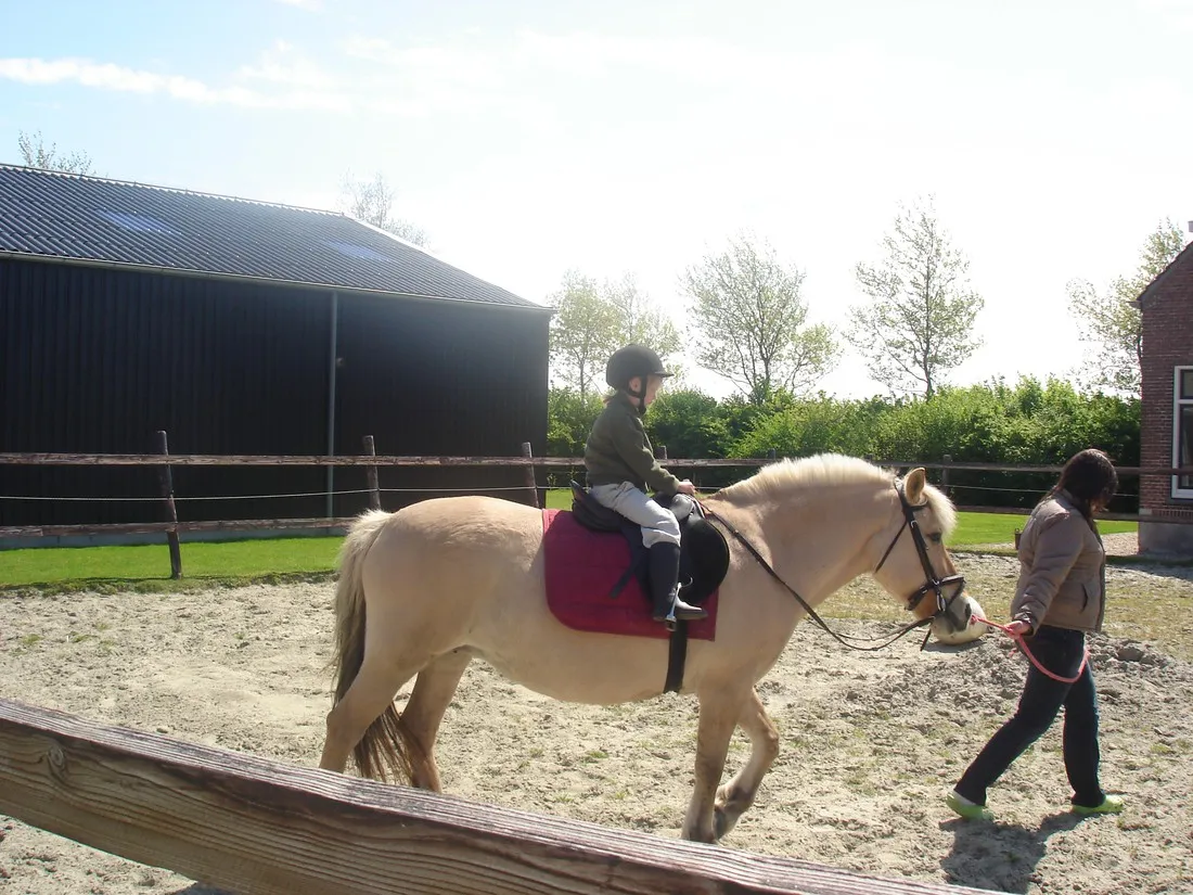 minicamping-landzicht-geersdijk-44f0x