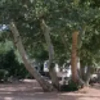 Zane Grey RV Park
