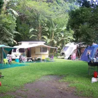 yellowwood-forest-morgans-bay-up0vt