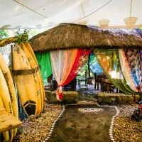 yellowwood-forest-morgans-bay-zdqjy