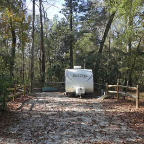 oleno-state-park-high-springs-fi3o5