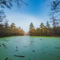 oleno-state-park-high-springs-ppkb9