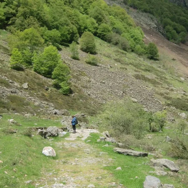 camping-lac-destaing-estaing-f1c97