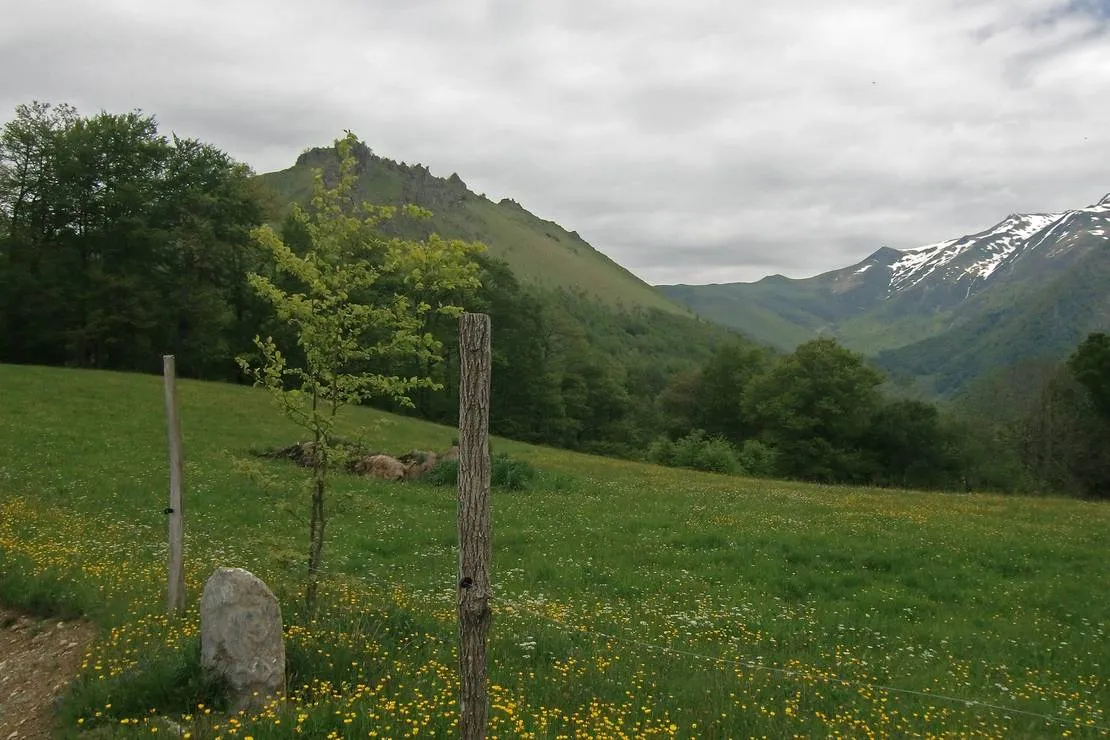 camping-lac-destaing-estaing-mmmiv