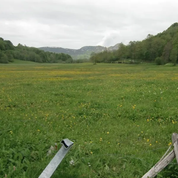 camping-lac-destaing-estaing-wlmxu