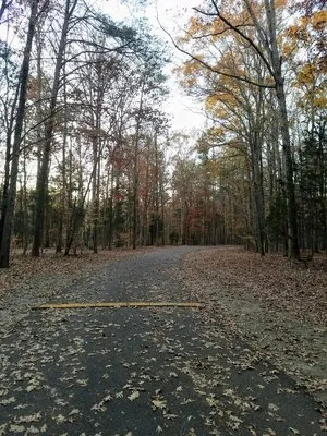 dan-nicholas-campground-salisbury-mbn1p