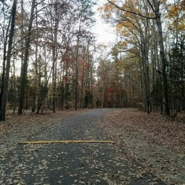 dan-nicholas-campground-salisbury-mbn1p
