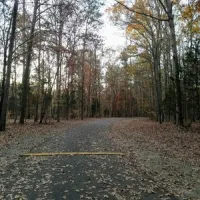 dan-nicholas-campground-salisbury-mbn1p