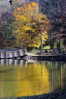 dan-nicholas-campground-salisbury-obcv4