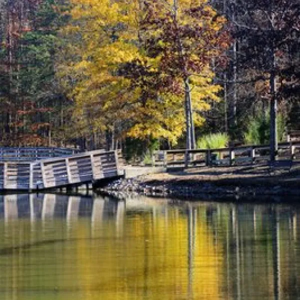 dan-nicholas-campground-salisbury-obcv4