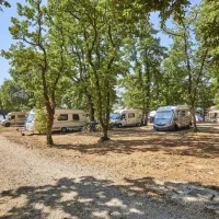 camping-finida-umag-wogop