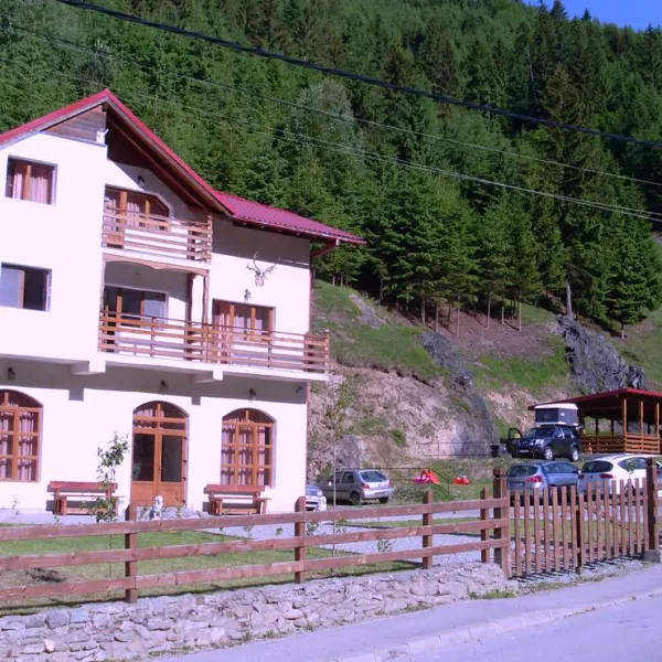 Pensiune camping laura borsa