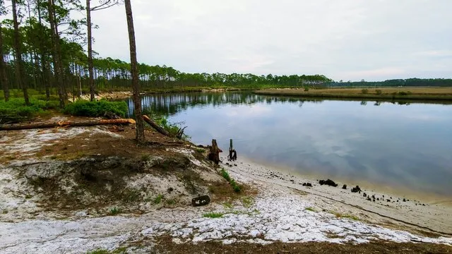 warren-bluff-campsite-48-carrabelle-3orbj