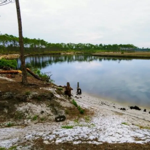 warren-bluff-campsite-48-carrabelle-3orbj