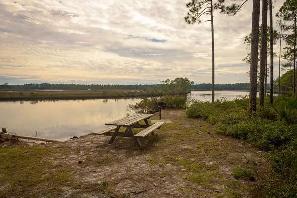 warren-bluff-campsite-48-carrabelle-s18if