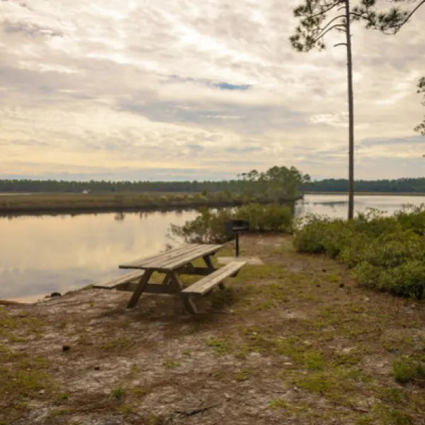 warren-bluff-campsite-48-carrabelle-s18if