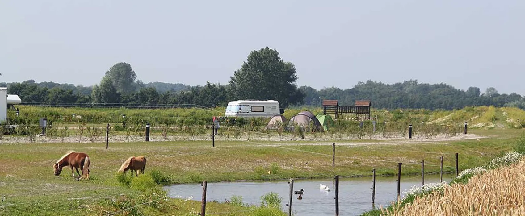Landzicht