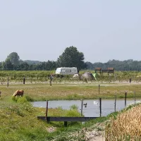 Landzicht