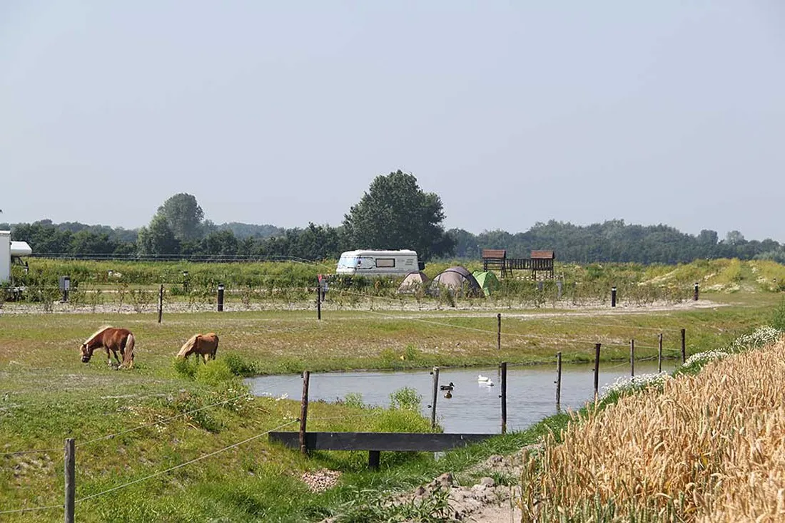 landzicht-burgh-haamstede-zmm8j