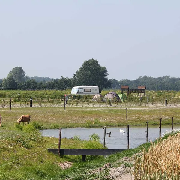 landzicht-burgh-haamstede-zmm8j