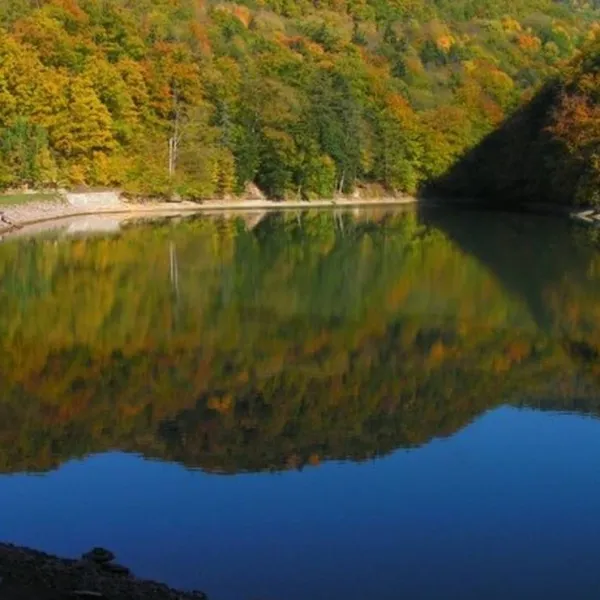 scout-camp-hodrusa-hodrusa-hamre-3cuy7
