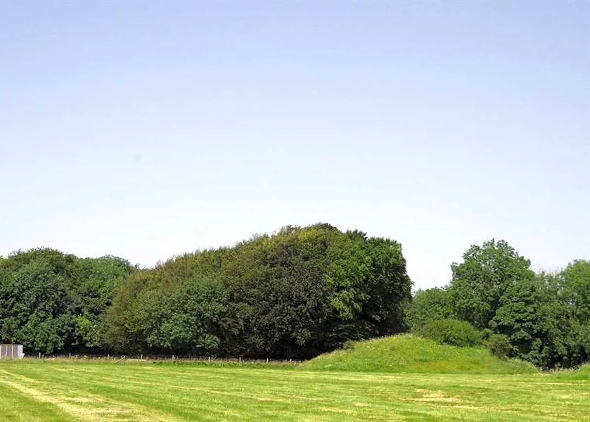 donkey-down-camping-at-culliford-tree-dorchester-4ccqp