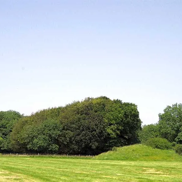 donkey-down-camping-at-culliford-tree-dorchester-4ccqp