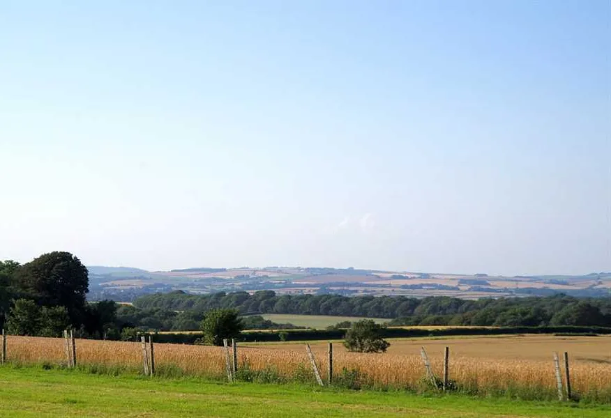 donkey-down-camping-at-culliford-tree-dorchester-fjwzs