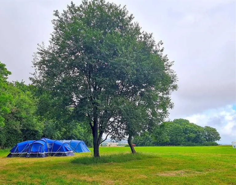 donkey-down-camping-at-culliford-tree-dorchester-jf9oe