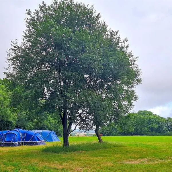 donkey-down-camping-at-culliford-tree-dorchester-jf9oe