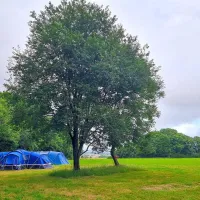 donkey-down-camping-at-culliford-tree-dorchester-jf9oe