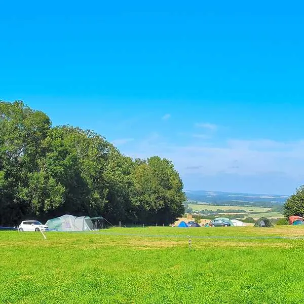 Donkey Down Camping at Culliford Tree