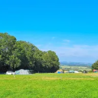 donkey-down-camping-at-culliford-tree-dorchester-ml6lj
