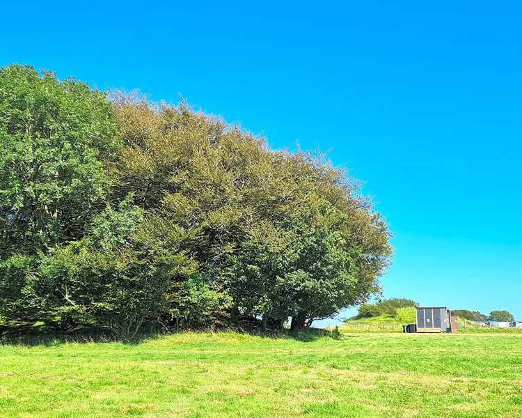 donkey-down-camping-at-culliford-tree-dorchester-ntc8a